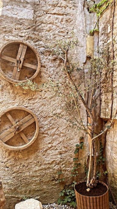 Aux Quatre Voutes Βίλα Saint-Marcel-d'Ardeche Εξωτερικό φωτογραφία